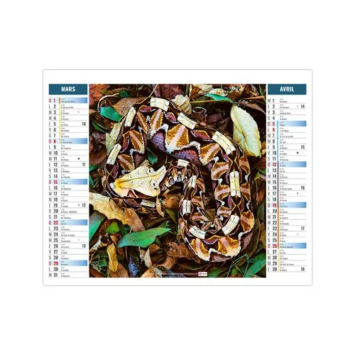 2EN1 - MIMETISME 2026 - SMALL 330 x 470 mm - MARQUAGE 1 COULEUR