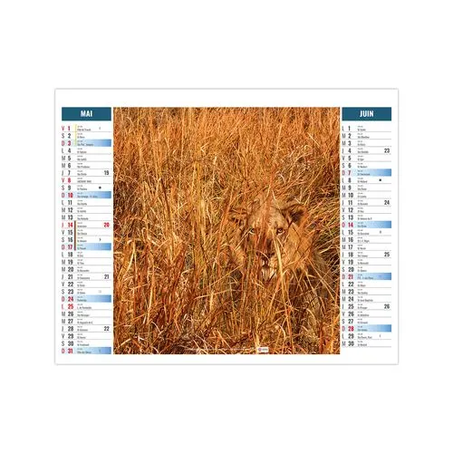 2EN1 - MIMETISME 2026 - SMALL 330 x 470 mm - MARQUAGE 1 COULEUR