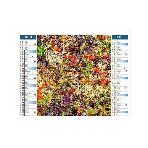 2EN1 - MIMETISME 2026 - SMALL 330 x 470 mm - MARQUAGE 1 COULEUR