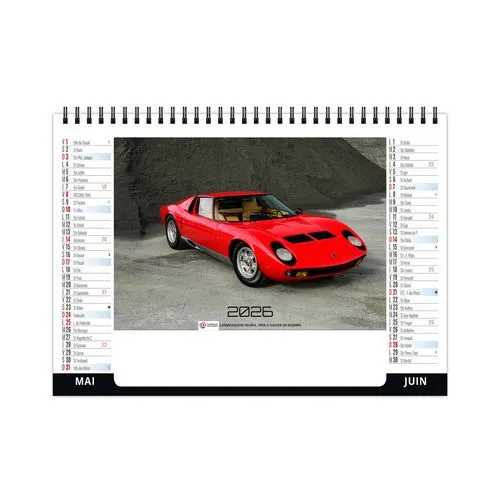 CHEVALET STANDARD 7F - VITESSE 2026 - QUADRI