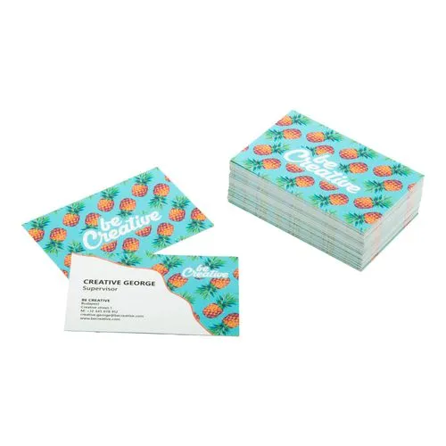 cartes de visite Visicard