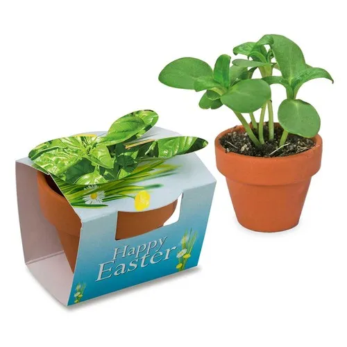 Mini Pot Lapin Terre Cuite avec Graines de Basilic Personnalisable