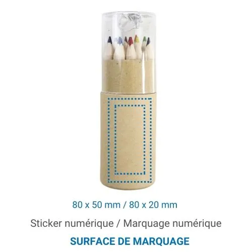 Set 12 crayons et taille crayon Transparent