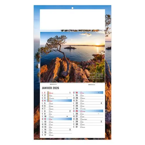 PLAQUE 1 VUE ALAIN 2026 - DOS CARTON - BLOC B2 - SANS MARQUAGE
