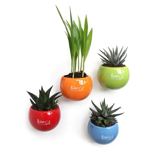 Plante en pot céramique aimanté personnalisable - Cadeau d'entreprise