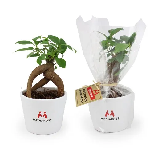 Plante en pot céramique aimanté personnalisable - Cadeau d'entreprise