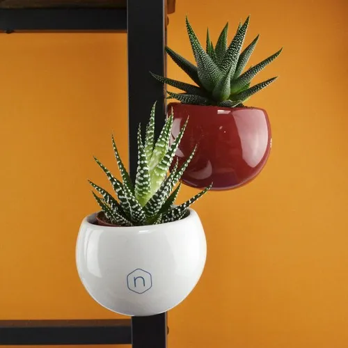 Plante en pot céramique aimanté personnalisable - Cadeau d'entreprise
