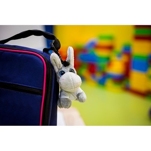Âne en Peluche Porte-Clés avec T-Shirt Personnalisable
