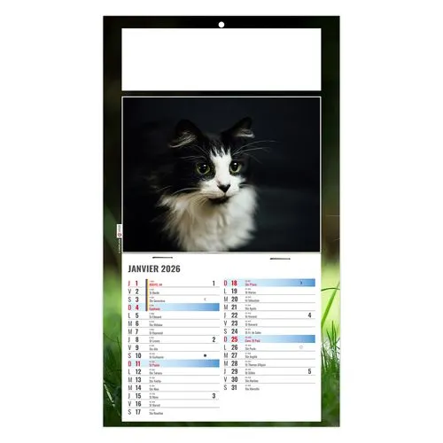 PLAQUE 1 VUE CESAR 2026 - DOS CARTON - BLOC B2 - SANS MARQUAGE