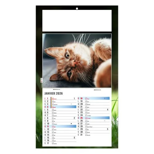 PLAQUE 1 VUE CESAR 2026 - DOS CARTON - BLOC B2 - SANS MARQUAGE