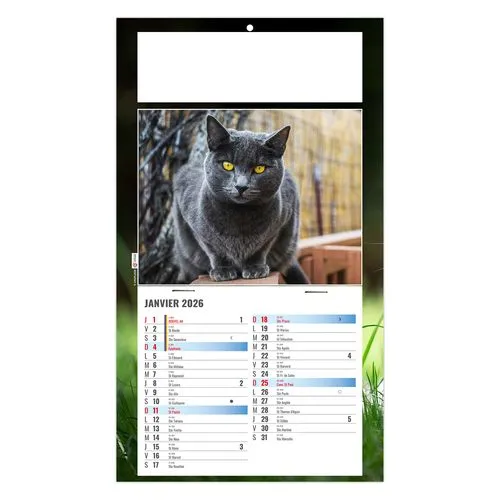 PLAQUE 1 VUE CESAR 2026 - DOS CARTON - BLOC B2 - SANS MARQUAGE