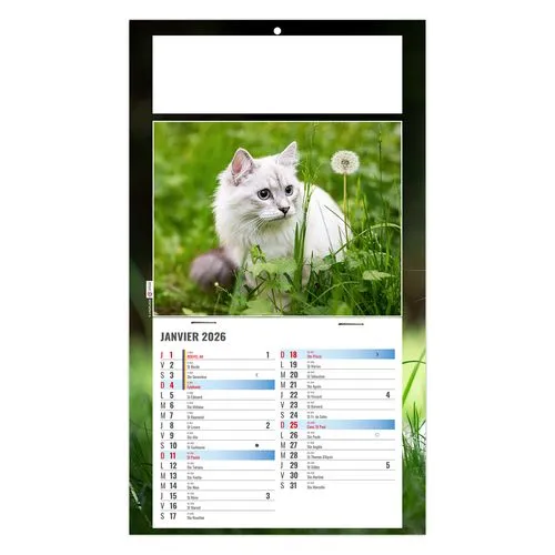 PLAQUE 1 VUE CESAR 2026 - DOS CARTON - BLOC B2 - SANS MARQUAGE