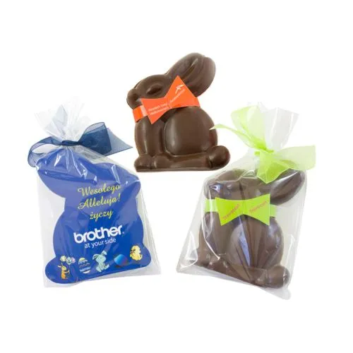 Lapin de Pâques avec dos plat