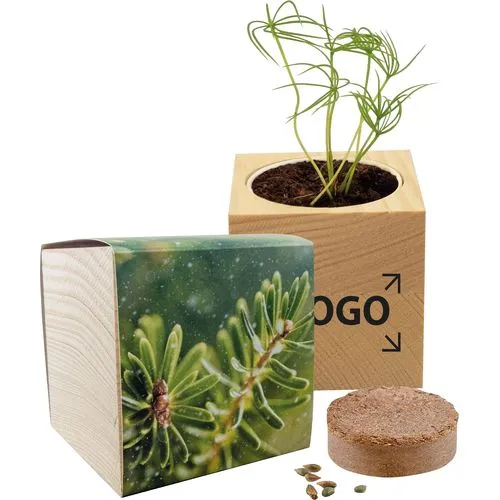 Cube Nature en Épicéa avec Graines à Faire Pousser - Cadeau Écologique
