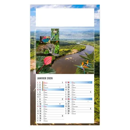 PLAQUE 1 VUE LUC 2026 - DOS CARTON - BLOC B2 - SANS MARQUAGE