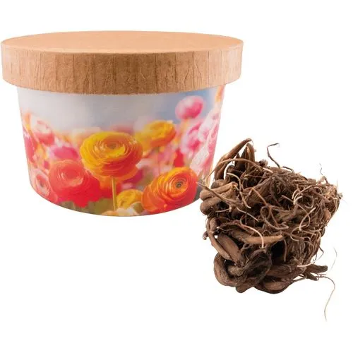 Sachet de Graines de Gazon Personnalisé - Format 82x114 mm