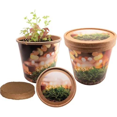 Gobelet Basilic Bio Personnalisable - Cadeau d'Entreprise Écologique