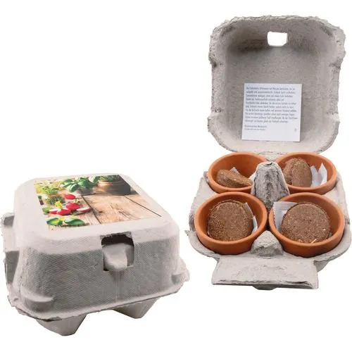 Gobelet Basilic Bio Personnalisable - Cadeau d'Entreprise Écologique