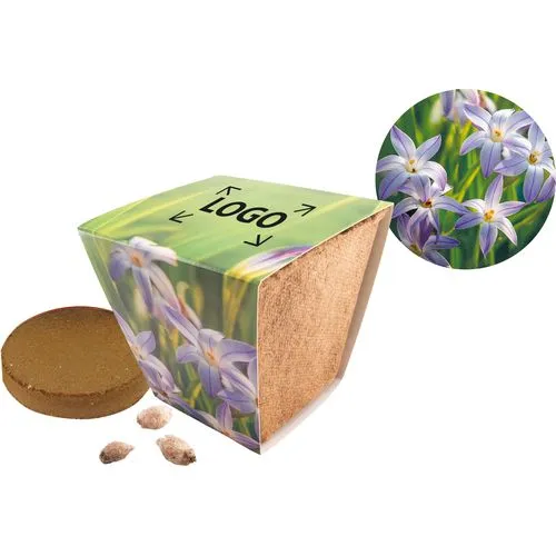 Pot de Fleur Étoilée Biodégradable Personnalisable