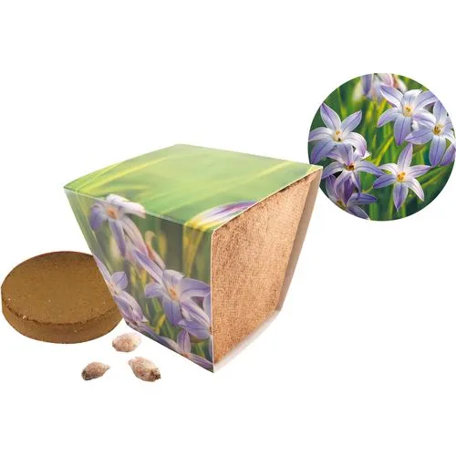 Pot de Fleur Étoilée Biodégradable Personnalisable