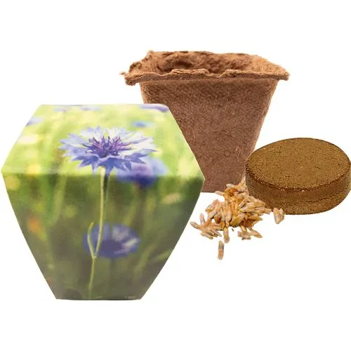 Pot de Fleur Étoilée Biodégradable Personnalisable