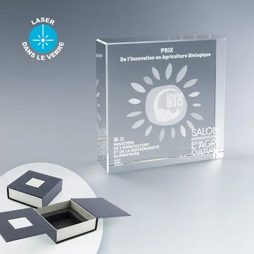 Trophée Carré en Verre Optique Personnalisable - Coffret Cadeau