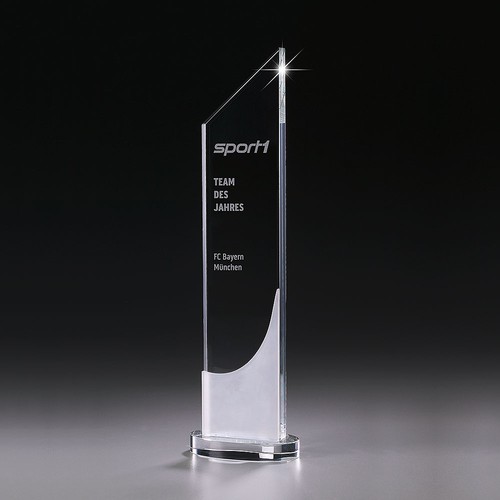 Trophée Personnalisable par Sérigraphie - Récompense Prestige