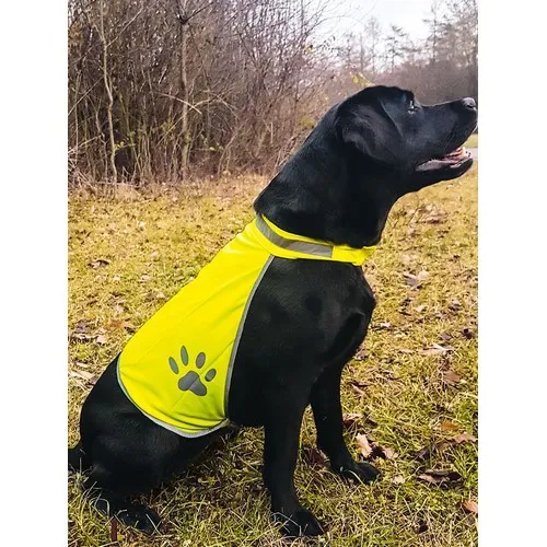 Gilet de sécurité Korntex pour chiens