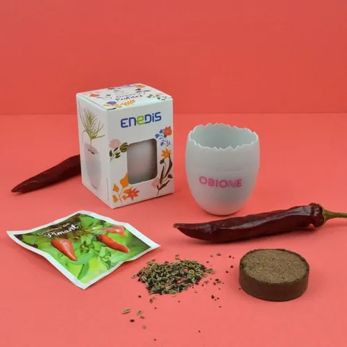 Kit Œuf Graines Personnalisable - Cadeau Écologique Entreprise