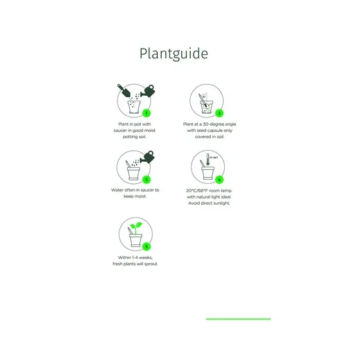 Sproutworld Unsharpened Pencil crayon non taillé