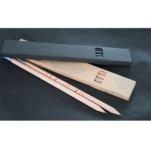 ETUI CARTON BLACK 4 CRAYONS