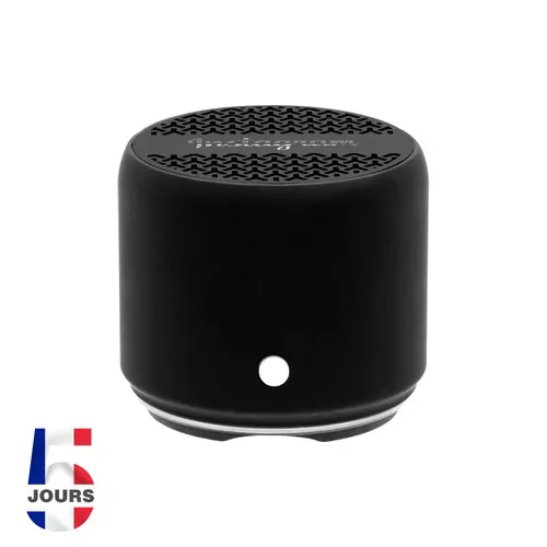 Enceinte sans fil Levo noir
