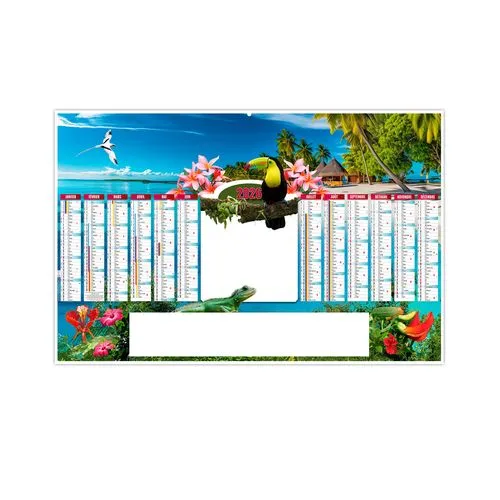 TROPIC 2026 - MAXI 650 x 405 mm - LEGER 400G - DOS BLANC - SANS MARQUAGE - 1 TROU EN TETE