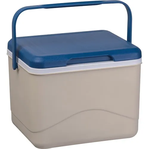 Glacière Publicitaire 5L avec Pain de Glace Intégré - Dès 10 ex