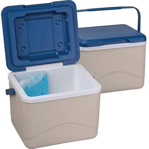 Glacière Publicitaire 5L avec Pain de Glace Intégré - Dès 10 ex