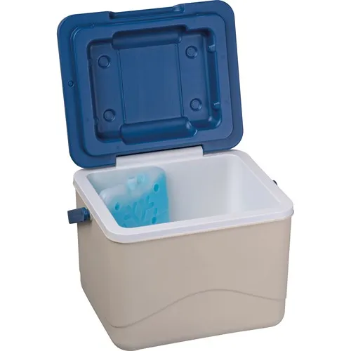 Glacière Publicitaire 5L avec Pain de Glace Intégré - Dès 10 ex