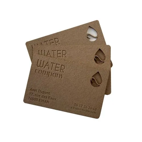 Carte de visite - France