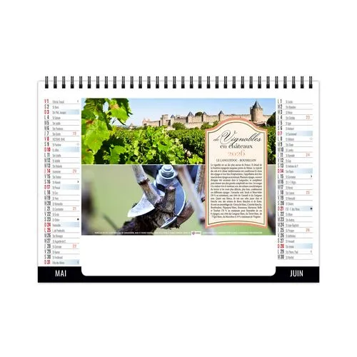 CHEVALET STANDARD 7F - VENDANGE 2026 - QUADRI