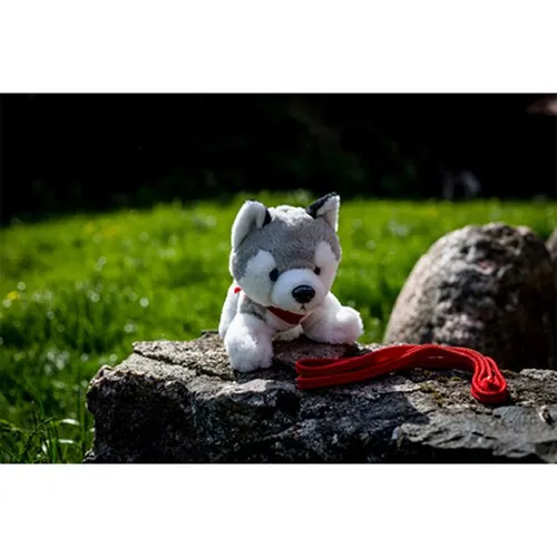 Chien Husky | Trooper