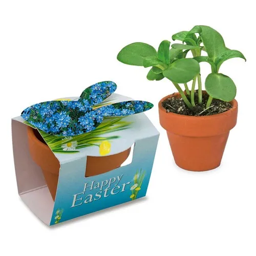Prairie Fleurie Publicitaire en Pot Carton - Piment