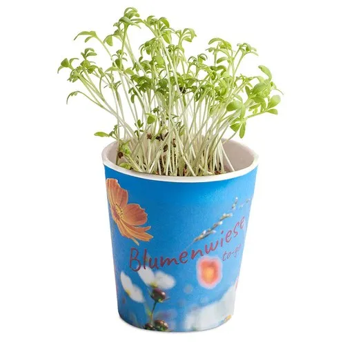 Prairie Fleurie Publicitaire en Pot Carton - Piment