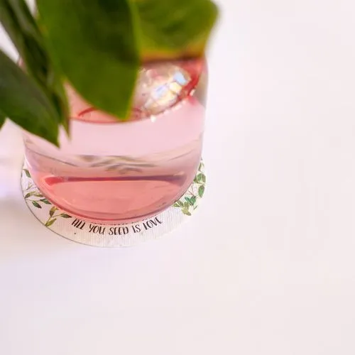 Dessous de verre éco-responsable en biomatériau 100% biodégradable