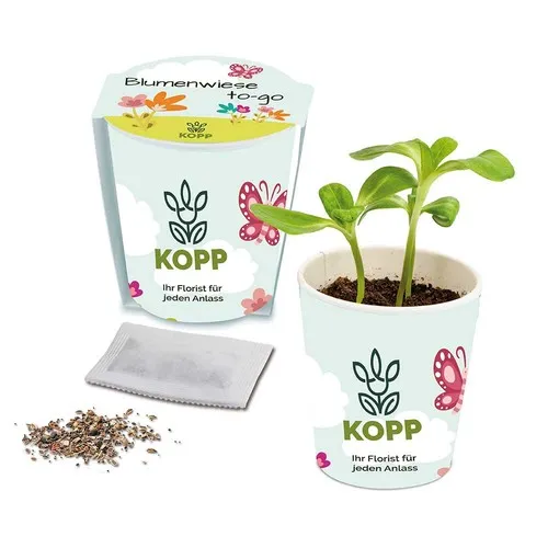 Prairie Fleurie Personnalisée - Pot Carton Éco-Responsable à Semer