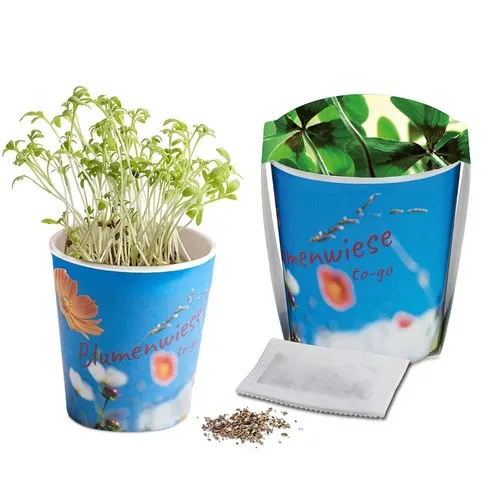 Prairie Fleurie Personnalisée - Pot Carton Éco-Responsable à Semer