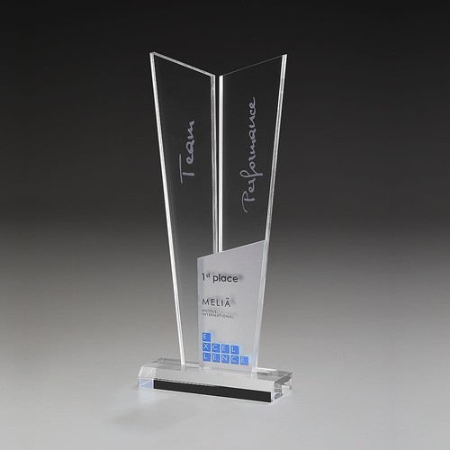 Trophée Personnalisable par Sérigraphie - Récompense Entreprise