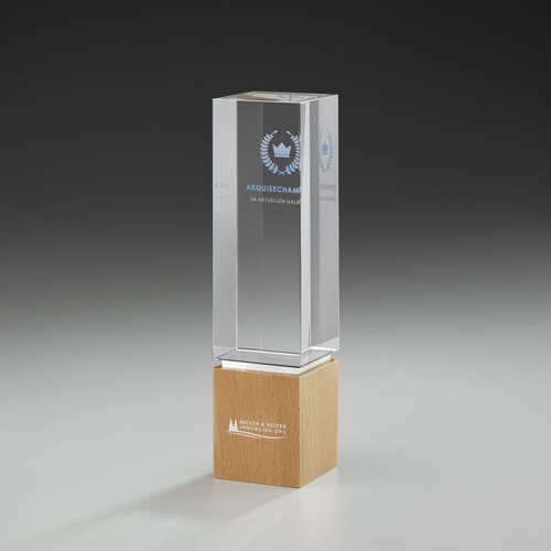 Trophée Personnalisable par Sérigraphie - Récompense Entreprise