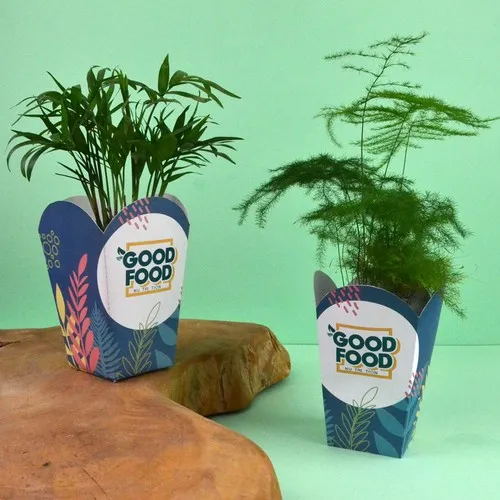 Plante personnalisée en pot popcorn - Cadeau écologique original