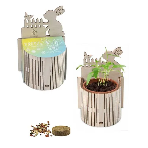 Mini-Jardin Pâques Personnalisé - Aubergine en Pot Terre Cuite