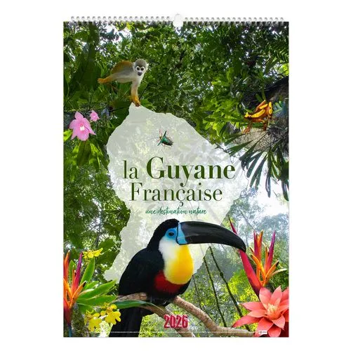 ORIGAMI CARRE ROUGE 2026 - CC REMBORDE - MARQUAGE 1 COULEUR - IDENTIQUE RECTO VERSO