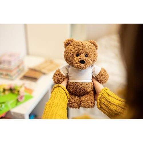 Ours en Peluche Personnalisable avec T-shirt Sérigraphié - 20 cm